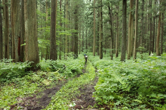 写真 2016-07-16 13 50 35.jpg