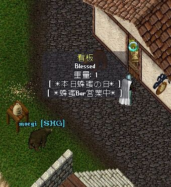 こぐまさんと出会う
