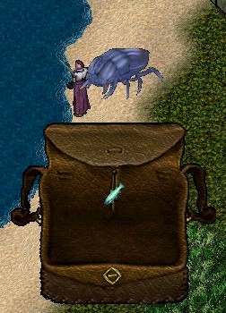 釣れた魚
