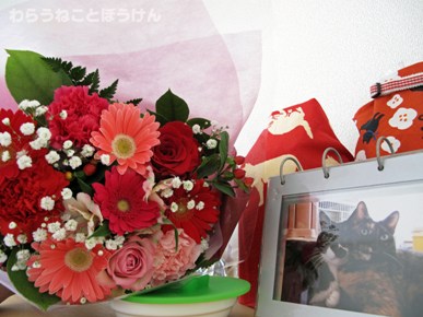 秋さんのお花20161220
