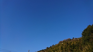 20170205の朝の裏山の青空
