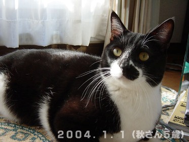 秋さん20040101