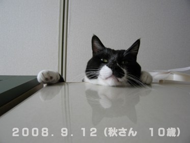 秋さん20080812