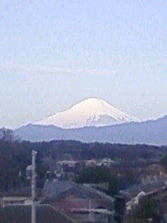 110319_081250.JPG