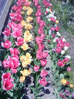 110414_123538.JPG