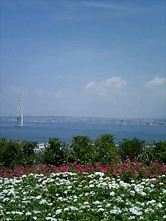 070825_1136~0001.jpg