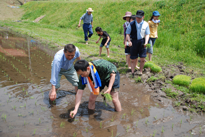 体験田植え中