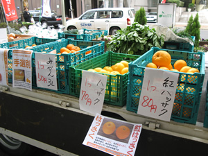 喫茶おととも 野菜市 果物