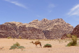 P1000397(1).JPG