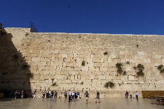 P1000485(1).JPG