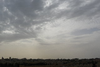 P1000652(1).JPG