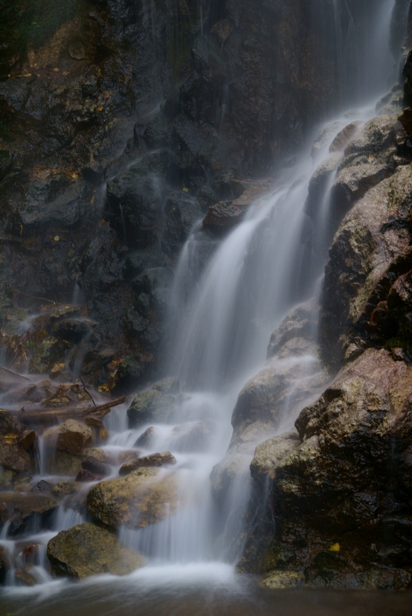 DSC03125.JPG