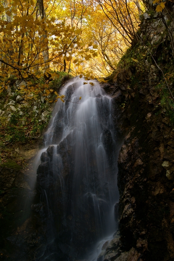 DSC03128.JPG