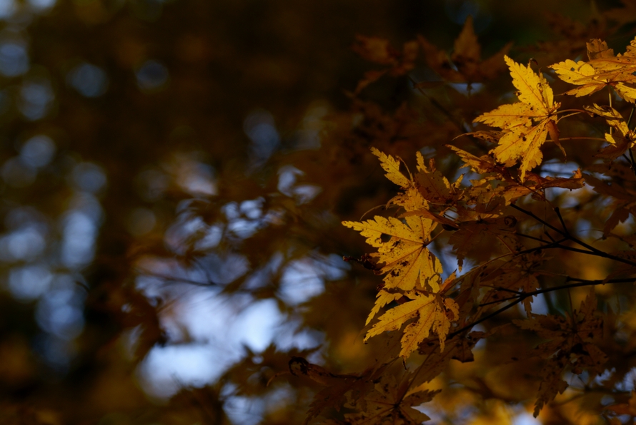 DSC03095.JPG