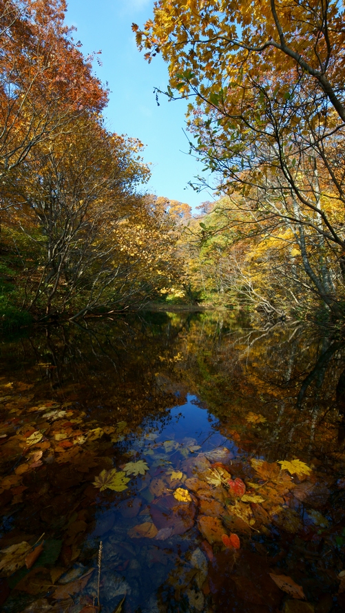 DSC04142.JPG