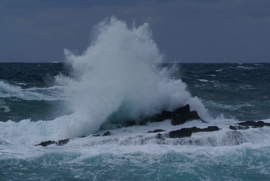DSC02874.JPG