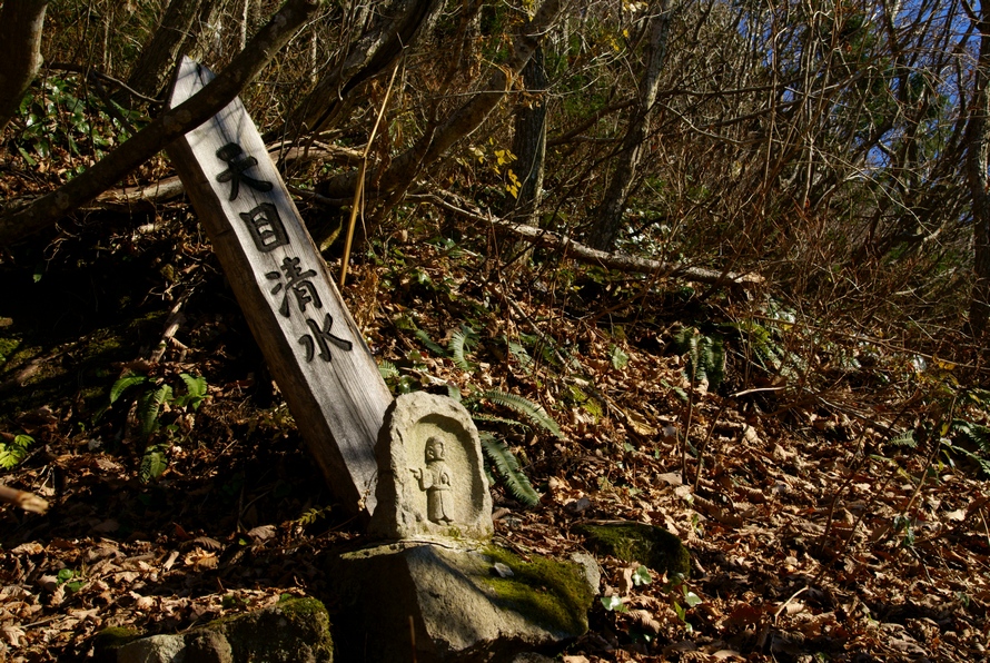 DSC03397.JPG