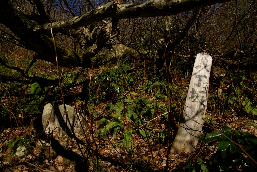 DSC03405.JPG
