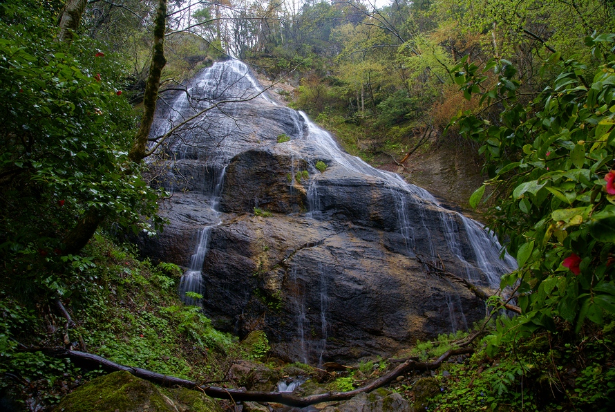 DSC05896.JPG