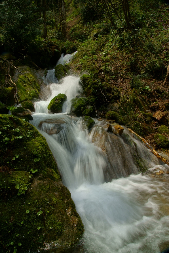 DSC06380.JPG