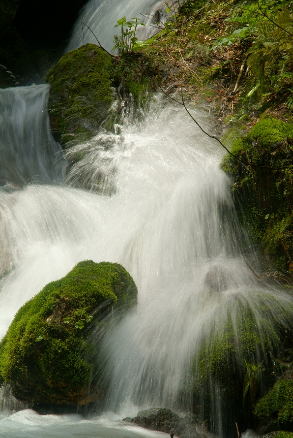 DSC06382.JPG