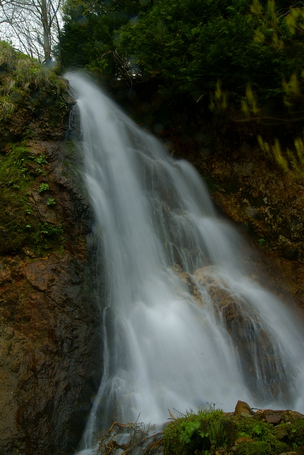 DSC06442.JPG