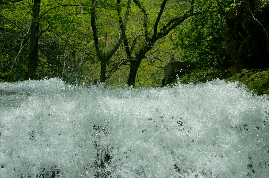 DSC03000.JPG