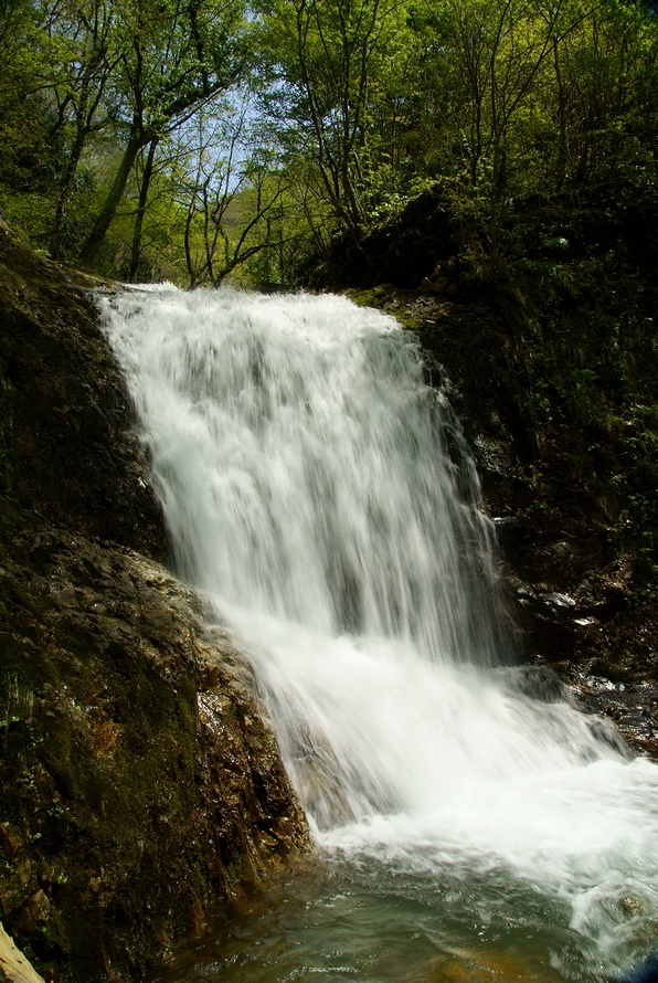 DSC06567.JPG