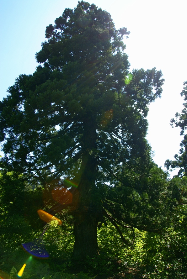 DSC07689.JPG