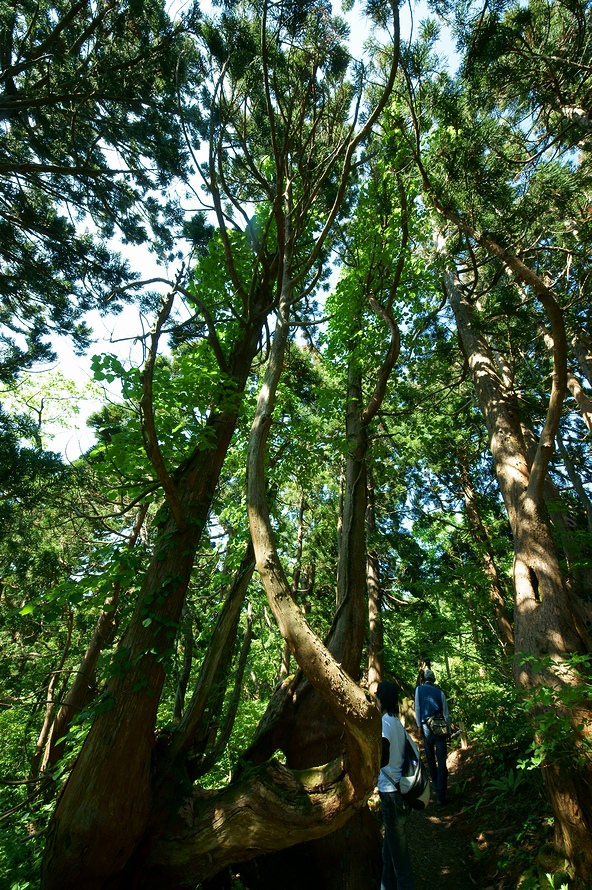 DSC08753.JPG