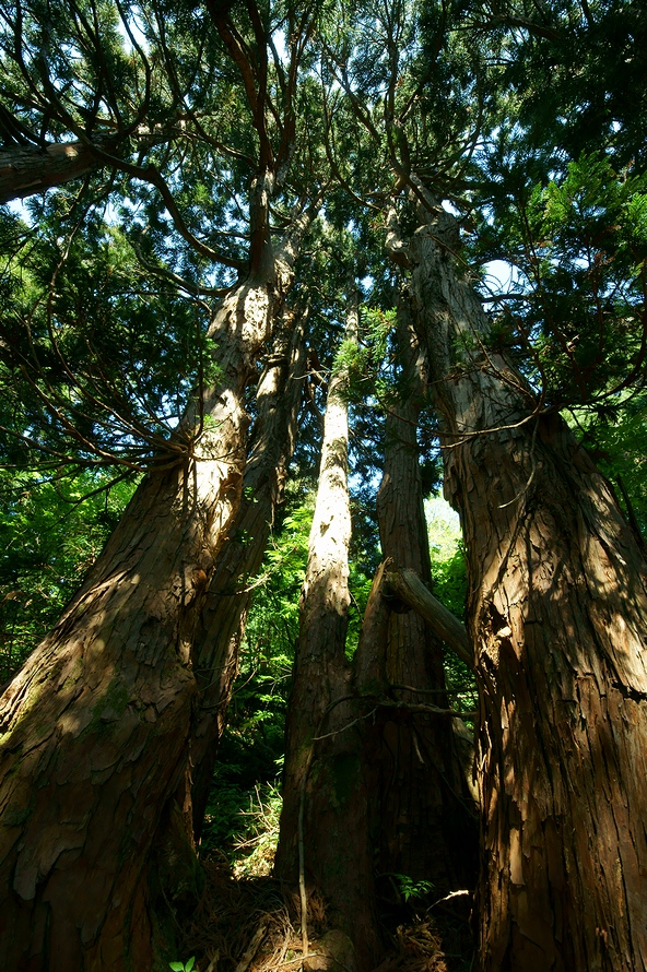 DSC08755.JPG