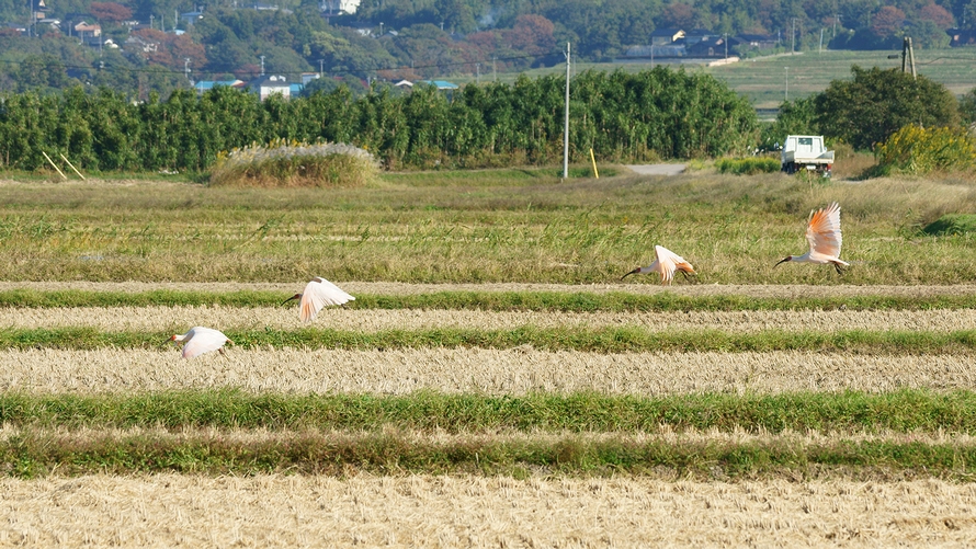 DSC02078.JPG