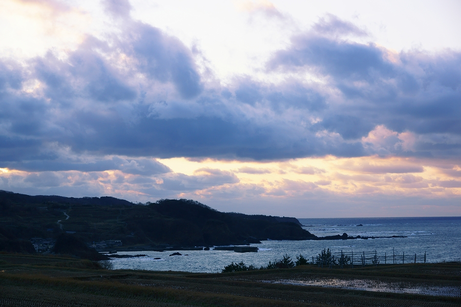DSC01828.JPG