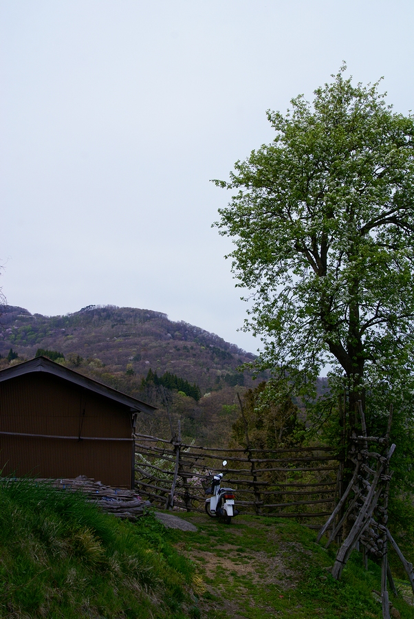 DSC01918¡ÊÂÀÍÛ¸÷¡Ë.JPG