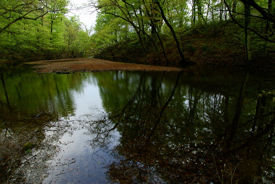 DSC02214.JPG