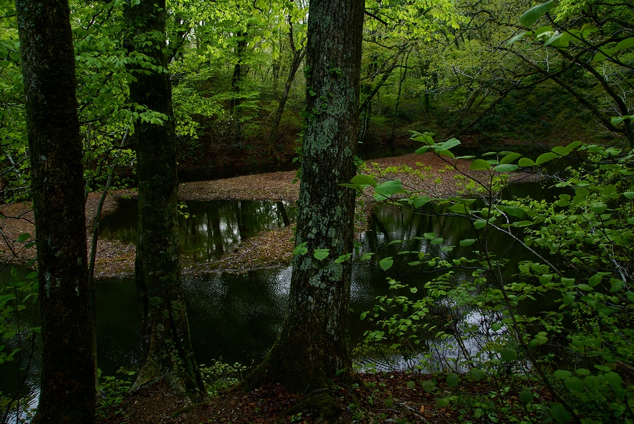 DSC02224¡ÊÂÀÍÛ¸÷¡Ë.JPG