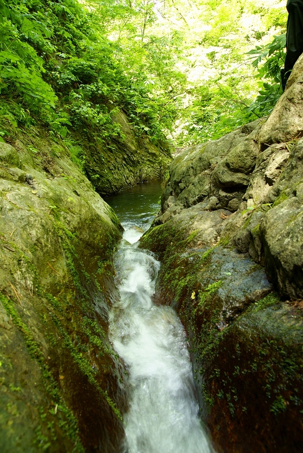 DSC02707¡ÊÂÀÍÛ¸÷¡Ë.JPG