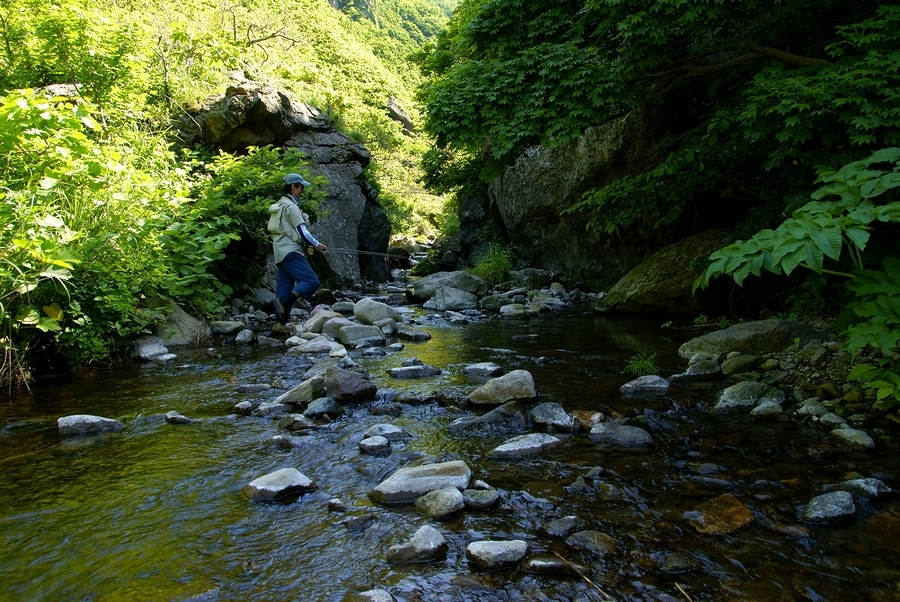 DSC02640¡ÊÂÀÍÛ¸÷¡Ë.JPG