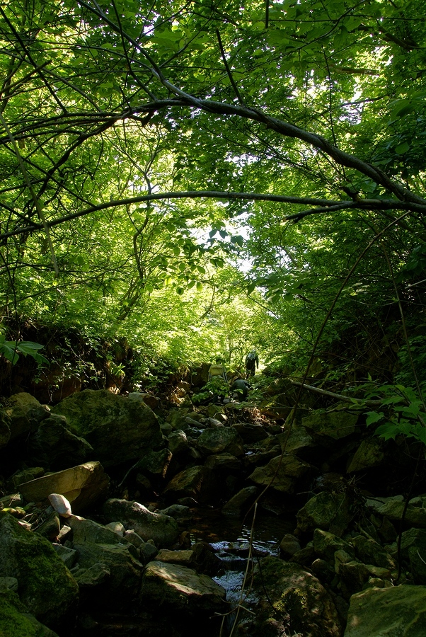 DSC02646¡ÊÂÀÍÛ¸÷¡Ë.JPG
