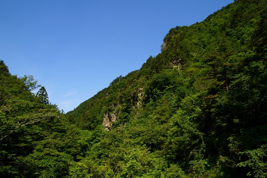 DSC02658¡ÊÂÀÍÛ¸÷¡Ë.JPG