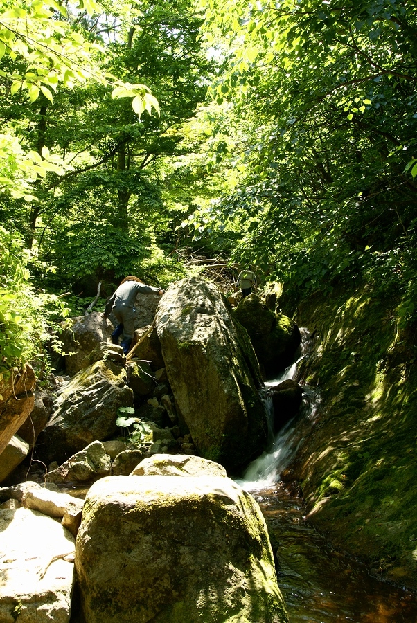 DSC02673¡ÊÂÀÍÛ¸÷¡Ë.JPG