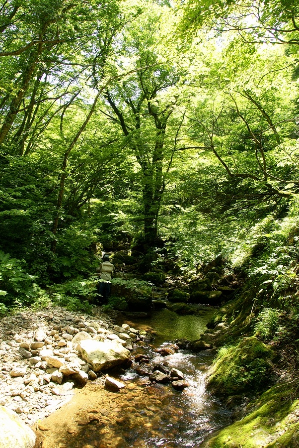 DSC02682¡ÊÂÀÍÛ¸÷¡Ë.JPG