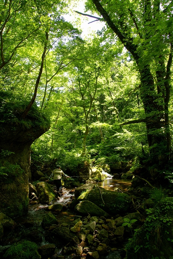 DSC02684¡ÊÂÀÍÛ¸÷¡Ë.JPG