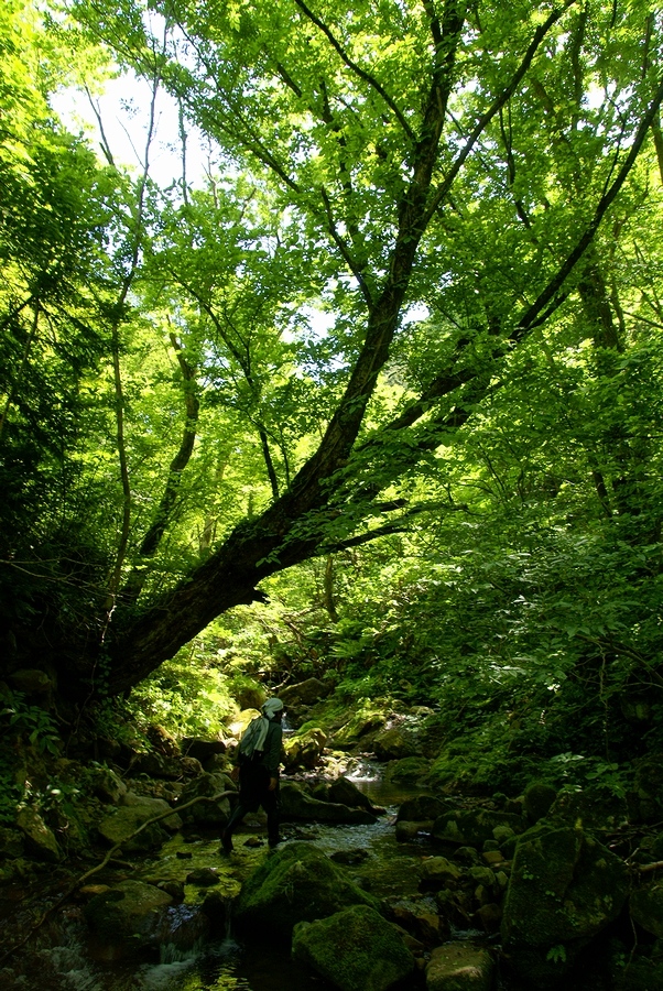 DSC02689¡ÊÂÀÍÛ¸÷¡Ë.JPG