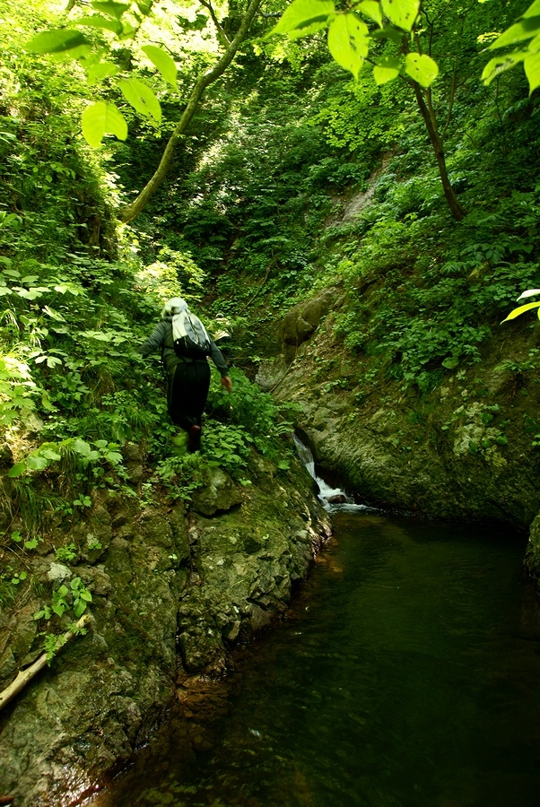 DSC02699¡ÊÂÀÍÛ¸÷¡Ë.JPG