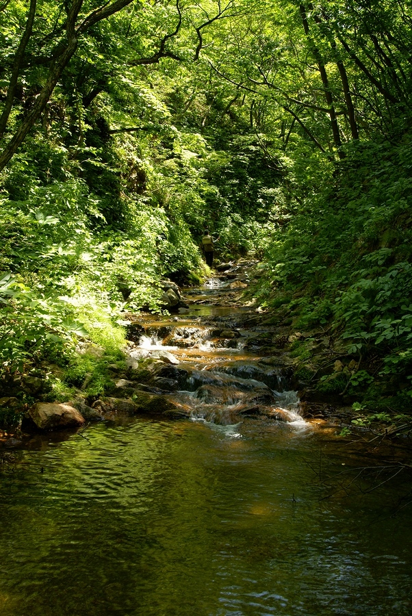 DSC02716¡ÊÂÀÍÛ¸÷¡Ë.JPG
