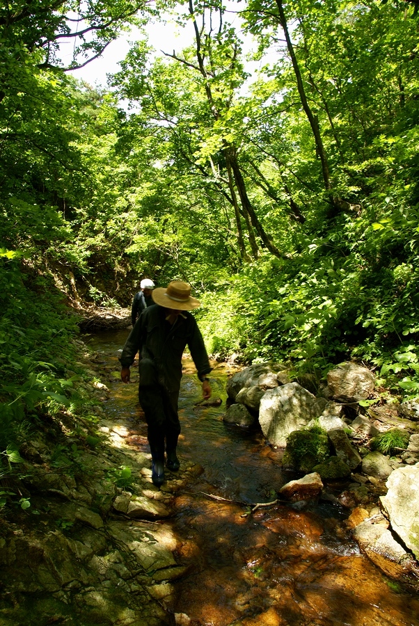 DSC02721¡ÊÂÀÍÛ¸÷¡Ë.JPG