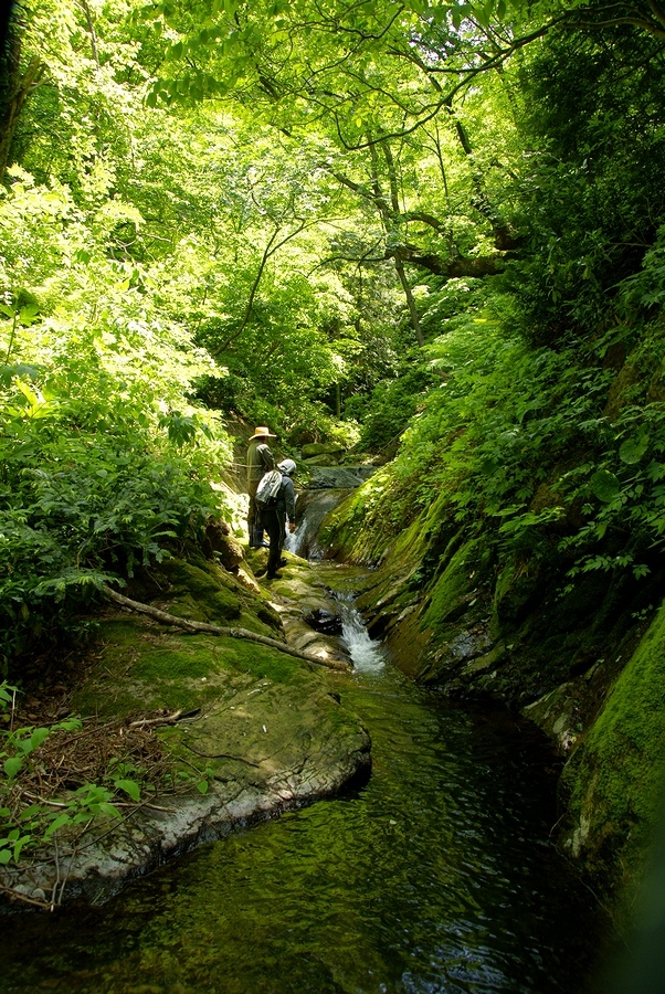 DSC02732¡ÊÂÀÍÛ¸÷¡Ë.JPG