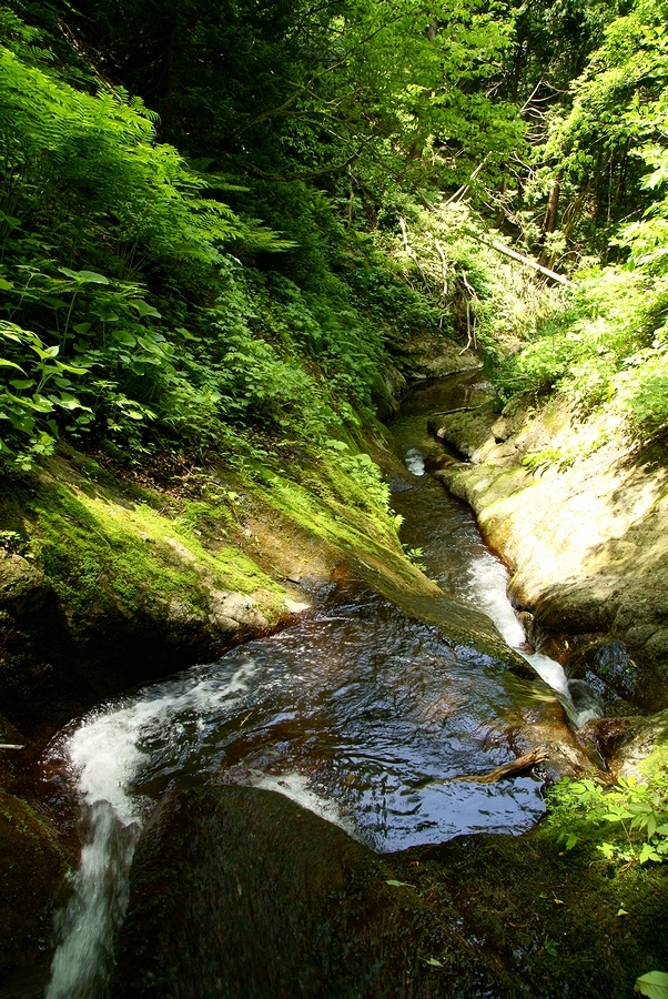 DSC02737¡ÊÂÀÍÛ¸÷¡Ë.JPG