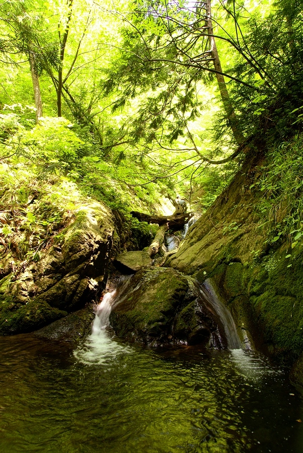 DSC02742¡ÊÂÀÍÛ¸÷¡Ë.JPG